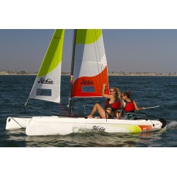 HOBIE T1